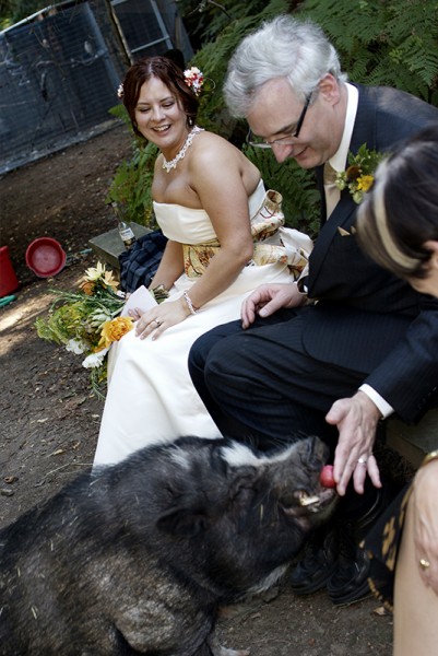 angermeyer_apigswedding09