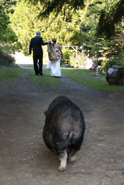 angermeyer_apigswedding14